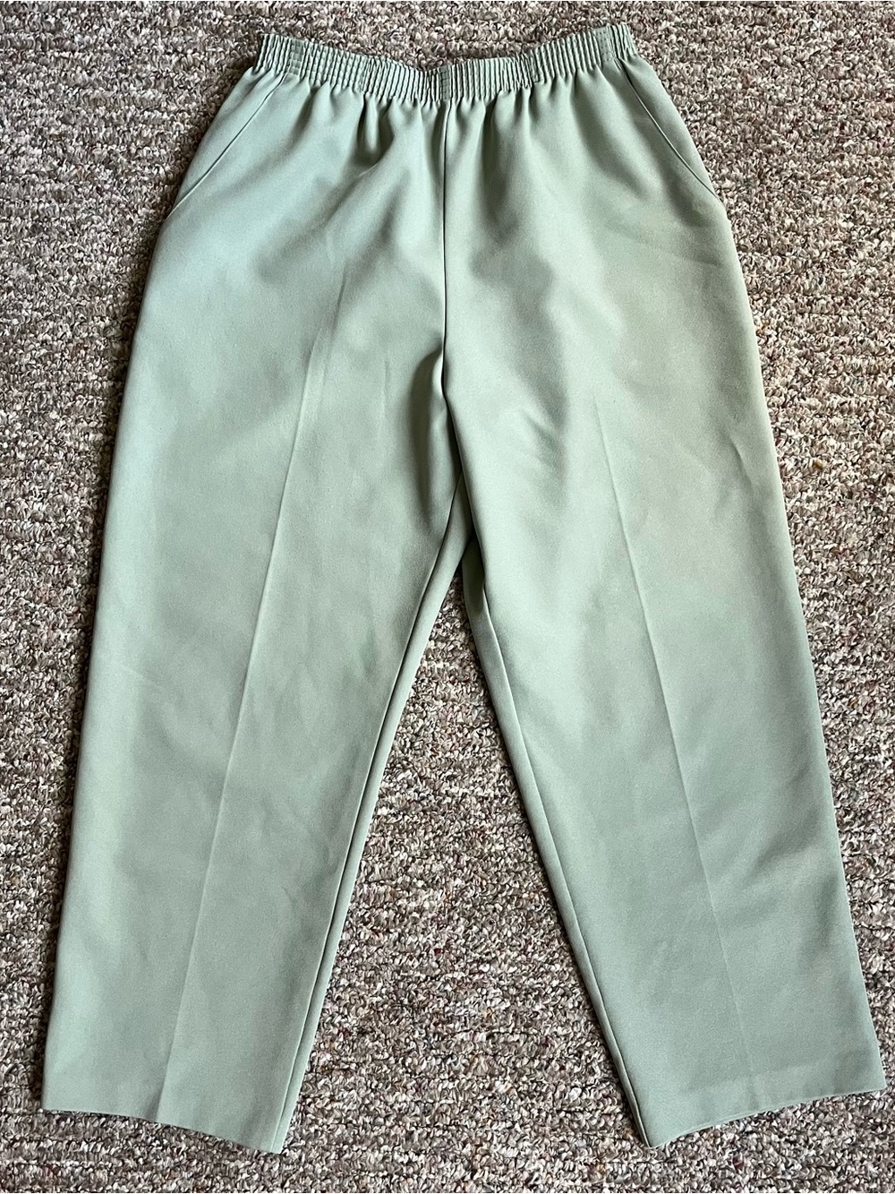 Women’s Vintage Briggs New York Pants Size 14